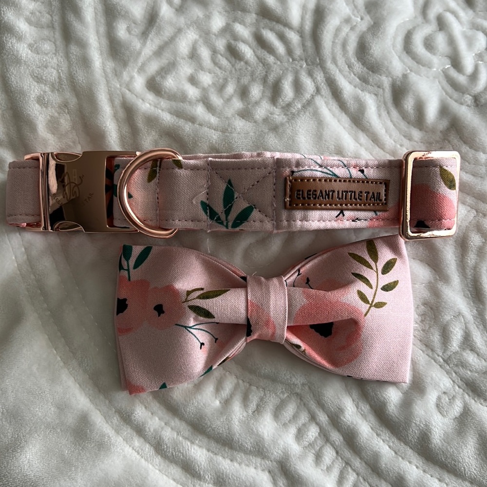 Beautiful pink dog collar